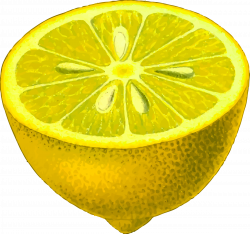 Clipart - Half-lemon (detailed)