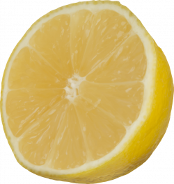 OnlineLabels Clip Art - Cut Lemon