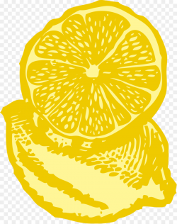 Lemon Tree clipart - Food, Fruit, Yellow, transparent clip art