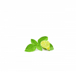 Leaf Download Clip art - Mint, lemon 1200*1146 transprent Png Free ...