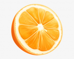 Orange Slice Png Clip Art Image - Oranges And Lemons Clip ...