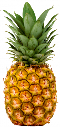 Pineapples | Fresh Imports