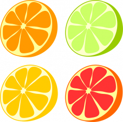 Grapefruit Clipart Citrus Free collection | Download and share ...