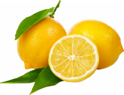 lemon / มะนาวเลมอน | Vegetable | Pinterest | Lemon, Salad bar and ...