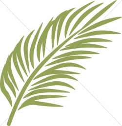 Single Palm in Calming Green | Palm Sunday Clipart