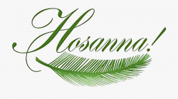 Pretty Design Clipart Palm Sunday By Sister Rose Ann - Palm ...