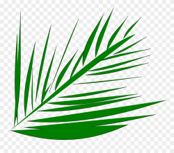 Big Image - Palm Trees Lent Transparent Background Clipart ...
