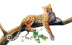 ftestickers petsandanimals leopard treebranch...