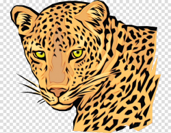 terrestrial animal wildlife clip art head african leopard ...