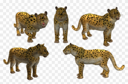 Snow Leopard Clipart Amur Leopard, HD Png Download ...