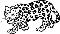 Free Leopard Coloring Pages, Download Free Clip Art, Free ...