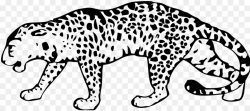 Download leopard black and white drawing clipart Leopard ...