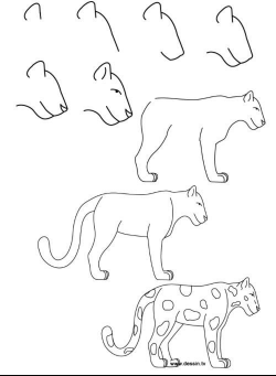 How to draw a leopard | Drawing in 2019 | Easy animal ...