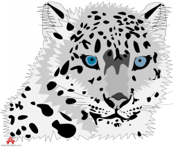 Leopard with Blue Eyes Clipart - Clip Art Library