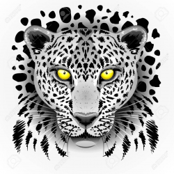 Free Leopard Clipart eyes, Download Free Clip Art on Owips.com