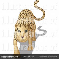 Leopard Clipart #1123985 - Illustration by Graphics RF