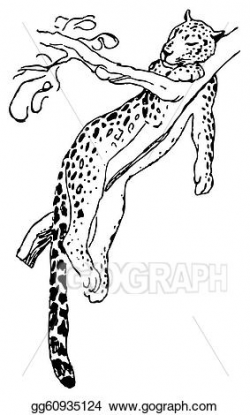 Vector Stock - Leopard. Clipart Illustration gg60935124 ...