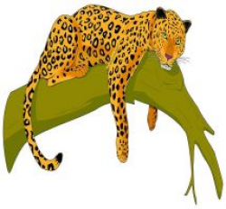 Free Leopard Football Cliparts, Download Free Clip Art, Free ...