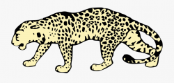 Felidae Cheetah Snow Leopard Clouded Leopard Northeast ...