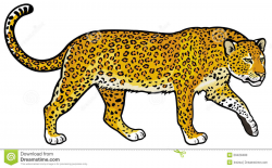 73+ Leopard Clip Art | ClipartLook
