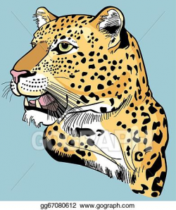 Vector Clipart - Leopard head. Vector Illustration ...