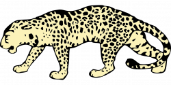 Leopard Spotted Crouched Animal transparent image | Leopard ...
