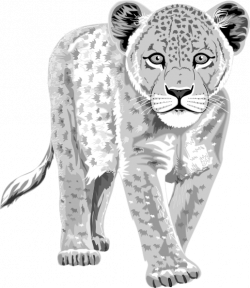 White Leopard Clip Art at Clker.com - vector clip art online ...