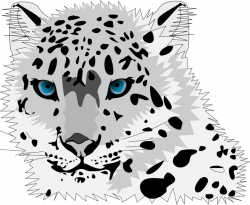 Public Domain Clip Art Image | snow leopard | ID: 14025555019558 ...