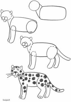 How to draw animals - leopard | Square 1 art in 2019 ...
