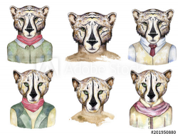 Watercolor wild cats. Tiger, leopard clip art, wild animal ...