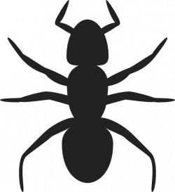 Images of Ant Outline - #SpaceHero