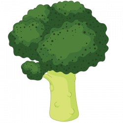 Broccoli Royalty-free Clip art - Hand-painted cartoon cauliflower ...