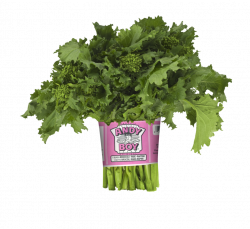 Products - Broccoli Rabe, Cactus Pears, Nopalitos, and More
