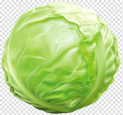 Vegetable Cabbage Lettuce , cabbage transparent background ...
