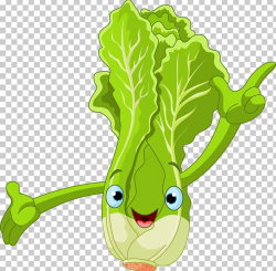 Lettuce Cartoon PNG, Clipart, Animation, Cabbage, Chinese ...