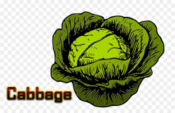 Cabbage roll Malfouf salad Clip art Openclipart - cabbage