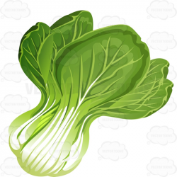 Download lettuce cartoon clipart Romaine lettuce Vegetable ...