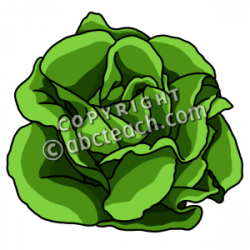 Clip Art: Lettuce Color | Clipart Panda - Free Clipart Images