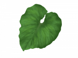 green leaves png - Free PNG Images | TOPpng