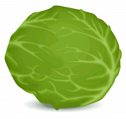 Collection of 14 free Cabbaging clipart iceberg lettuce. Download on ...
