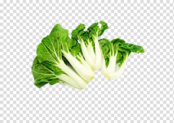 Chinese cabbage Romaine lettuce Napa cabbage Leaf vegetable ...