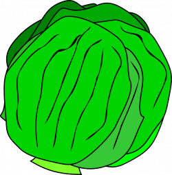 Whole Lettuce Clip Art at Clker.com - vector clip art online ...