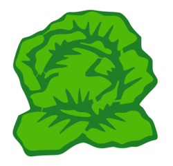 Similiar drawing of leaf lettuce keywords cliparts - Clipartix