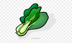 Lettuce Clipart Sawi - Green Vegetables Clipart - Free ...