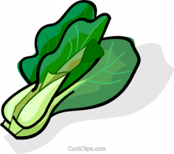 Lettuce Clipart Sawi - Green Vegetables Clipart - (480x428 ...