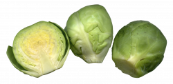 Brussels Sprouts Cut PNG Image | PNG Transparent best stock photos