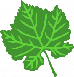Leaf Clip Art at Clker.com - vector clip art online, royalty free ...