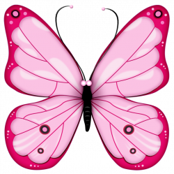 Butterfly Clipart at GetDrawings.com | Free for personal use ...