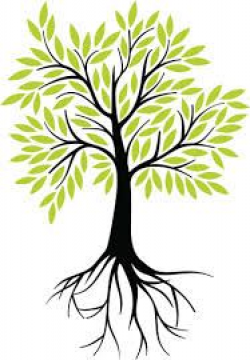 Image result for tree of life roots clipart free | display ...