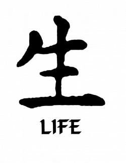 All Decals :: Kanji Symbols :: Life Kanji Symbol Vinyl Decal ...